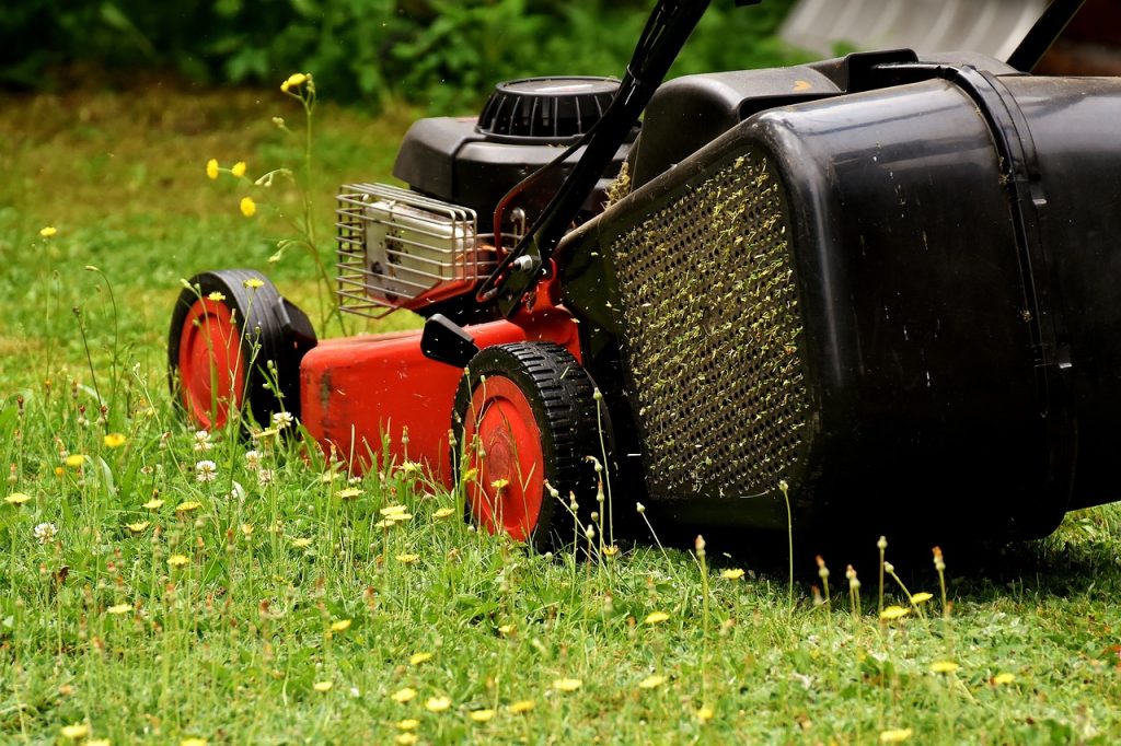 lawn-mower-mow-cut-the-lawn-2430725 lawn mower, mow, cut the lawn-2430725.jpg